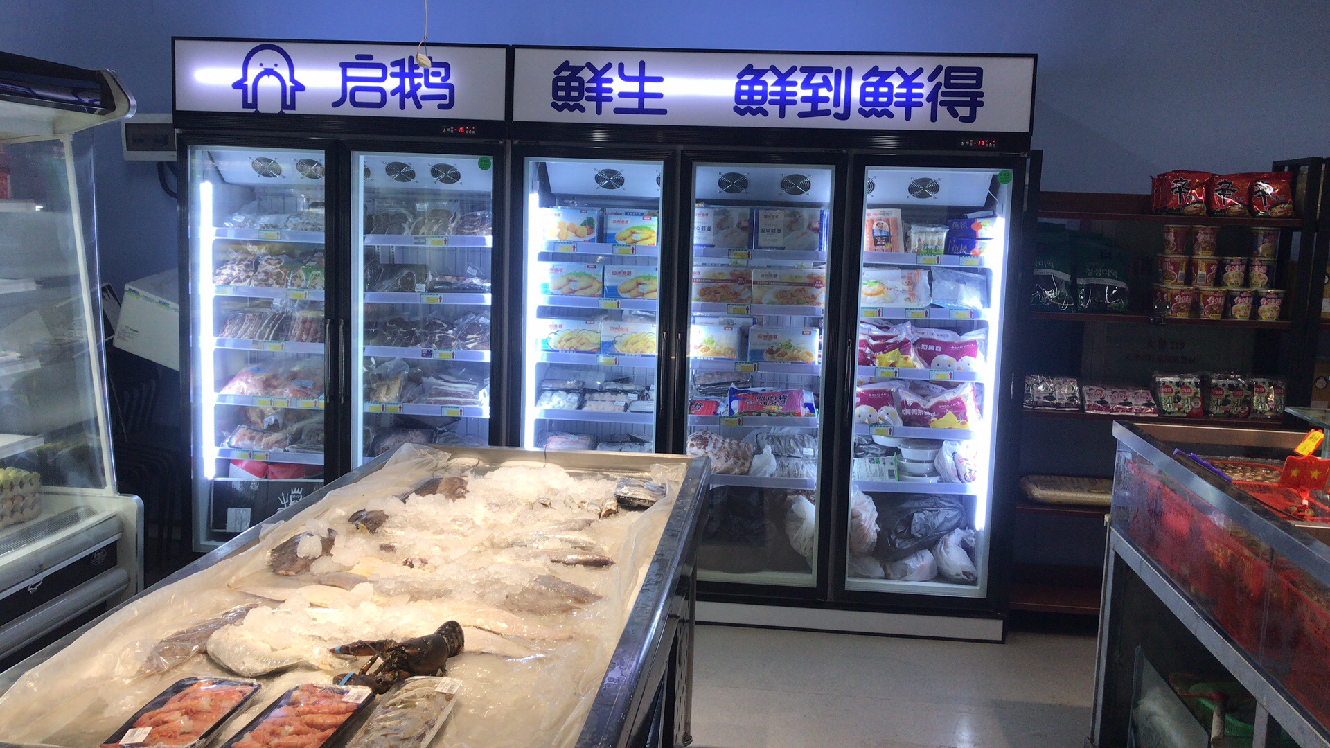 天津-启鹅鲜生-玻璃门柜 - 大型超市冷柜工程案例 - 【易同人冷柜】专业冷冻柜_冰柜_保鲜柜_冷藏展示柜_冰柜生产厂家。